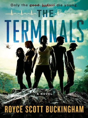cover image of The Terminals